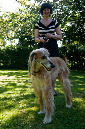 017_windhond_15082012MJS