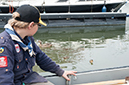 %_tempFileName004_Roodbaard_2014MJS%