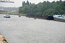 %_tempFileName013_Roodbaard_2014MJS%
