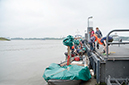 %_tempFileName022_Roodbaard_2014MJS%