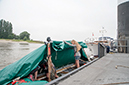 %_tempFileName024_Roodbaard_2014MJS%