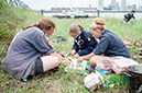 %_tempFileName036_Roodbaard_2014MJS%