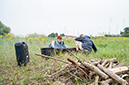 %_tempFileName038_Roodbaard_2014MJS%