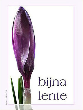98_bijna_lente-062