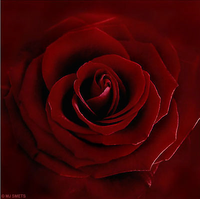 09_28_Roos_DX2714