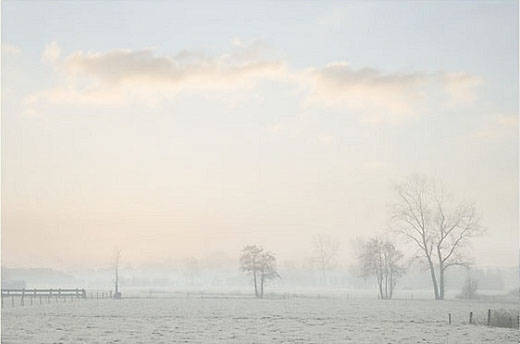 39_mistlandschap_DX7668-002