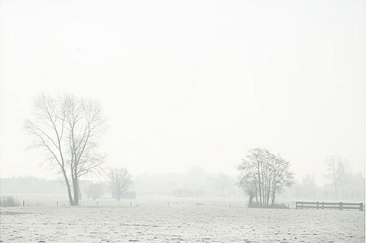 40_mistlandschap_DX7669-003