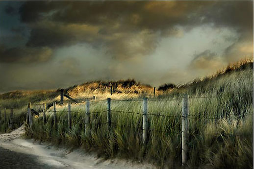 72_duinen_D9831-036