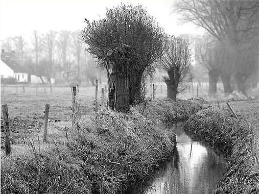 92_Landschap_N1826zw-056