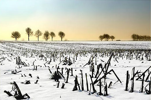 93_Sneeuwlandschap_D2691-057