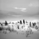 00Noorwegen_D7C5977-R400