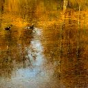 11_01_Herfstkleur_D16225