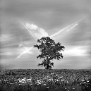 11_23-boom-DX12841