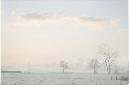 39_mistlandschap_DX7668-002