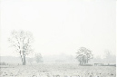 40_mistlandschap_DX7669-003