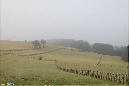 81_landschap_N3676-045