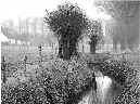 92_Landschap_N1826zw-056