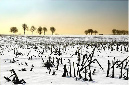 93_Sneeuwlandschap_D2691-057