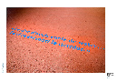 08_Documenta-008