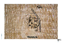 10_Documenta-010