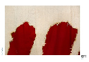 11_Documenta-011