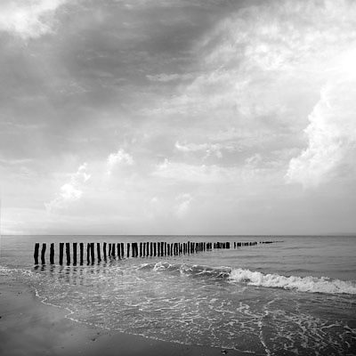 010_zee_D15562-010