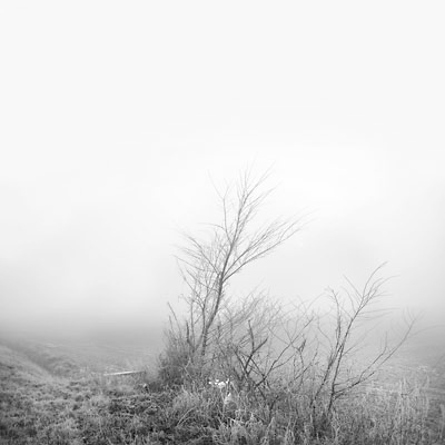 018_winter_D7C1144