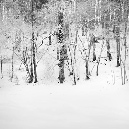 025_sneeuw_D7C1223